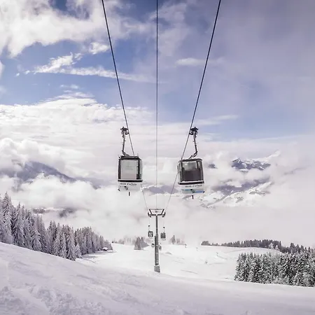 A - 3 Personnes, Animaux Admis - Fr-1-453-116