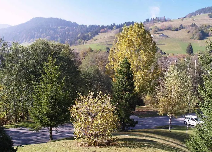 Lejlighed A - 3 Personnes, Animaux Admis - Fr-1-453-116 Megève