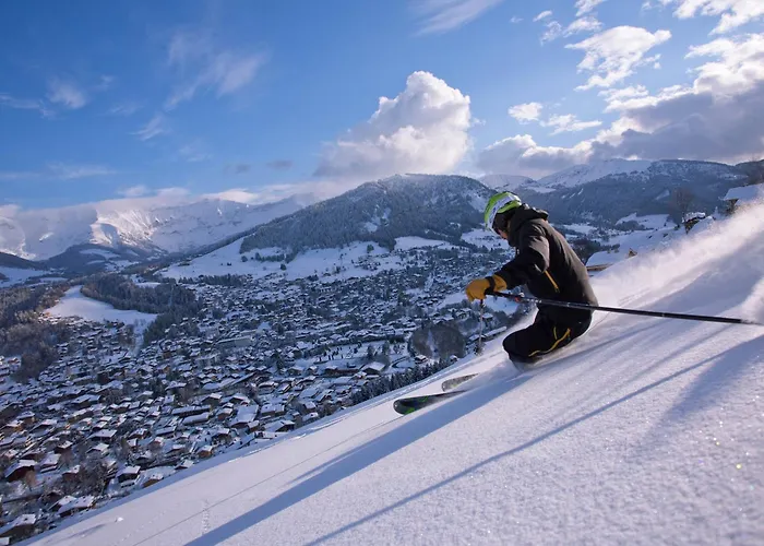 Lejlighed A - 3 Personnes, Animaux Admis - Fr-1-453-116 Megève